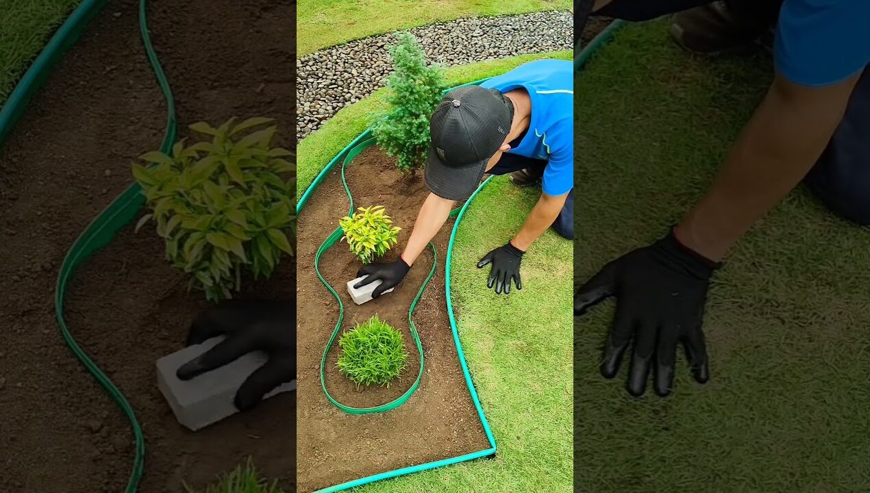 Amazing Curve Shape Garden Landscape Design ideas #landscape #gardenideas #garden #diy