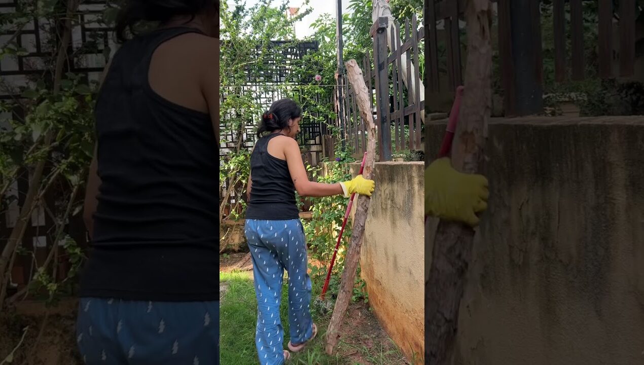 Ep.3 | Backyard Makeover | House Reset | #minivlog #asmr Budget Makeover