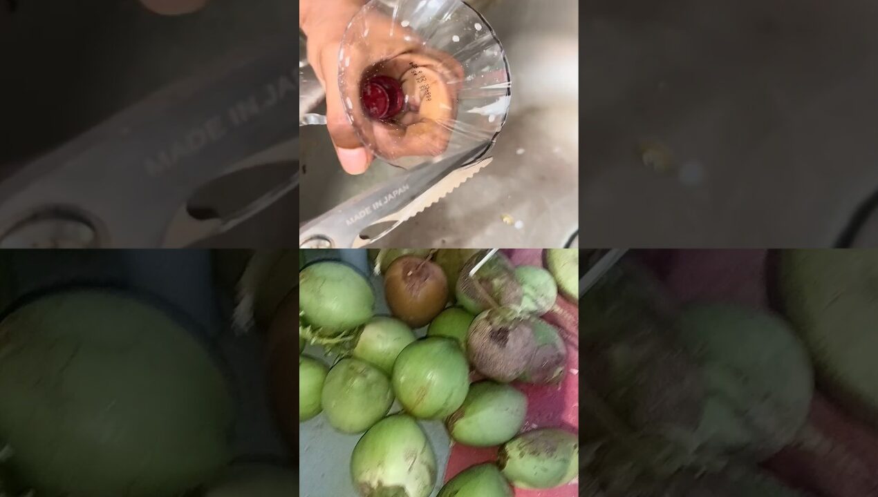 Genius Trick With a Plastic Bottle That Few Know! #diy #ideas #tricks #tips #lifehacks #shorts