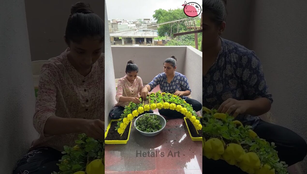 Awesome Garden decoration ideas – recycle a plastic bottle for gardening #garden #decor #recycle