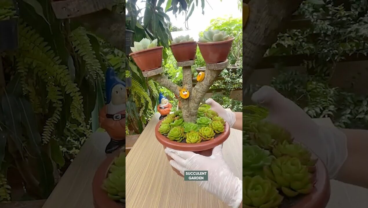 DIY Succulent Art: Upcycling Old Pots & Tree Branches