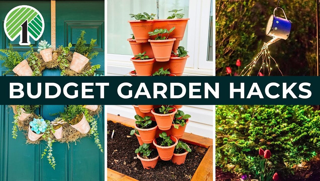 10 Genius New Dollar Tree Garden Hacks That Look Like Designer Decor!