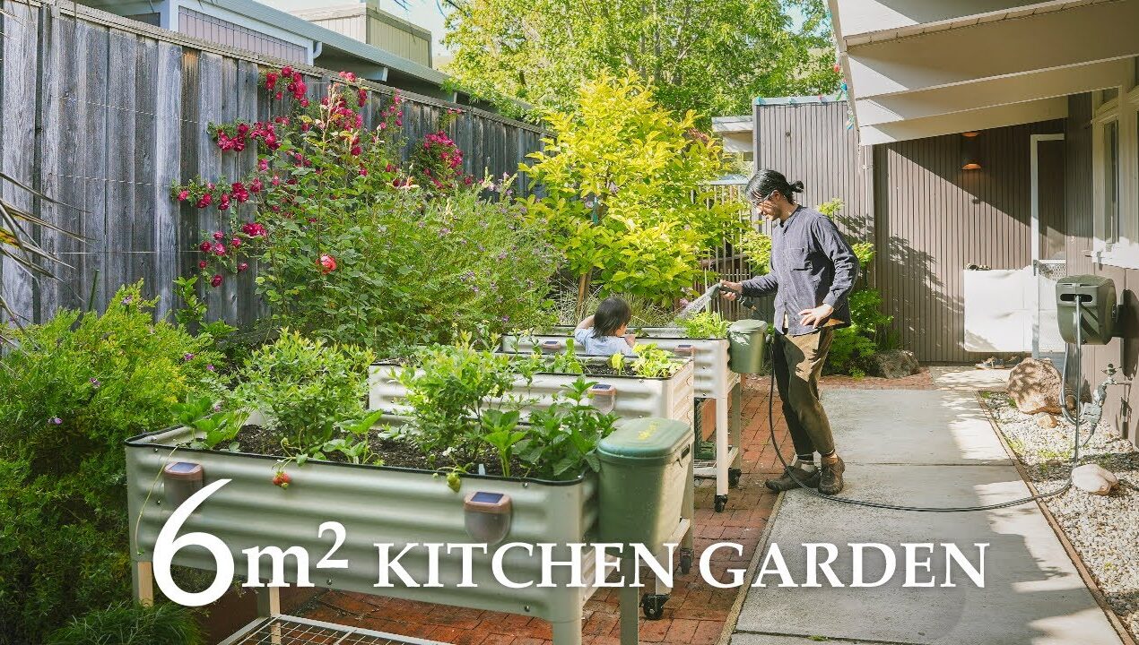 Our 60 sqft Edible Garden Transformation | from Building to Planting