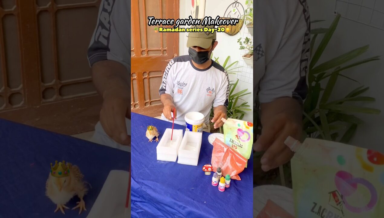 Terrace garden Makeover Ramadan series Day-20🪴🏡❤️#unboxing #gardening #shorts