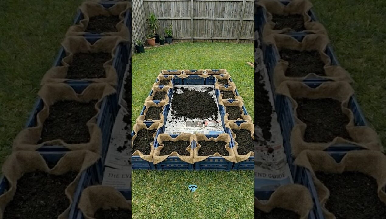 Turn Plastic Crates Into a Raised Garden Bed