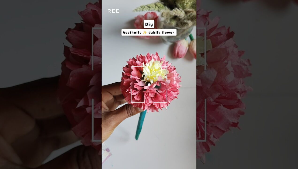 Diy super aesthetic ✨ dahlia flower by towel ( tissue paper,) #diy #craft #flowers #viral