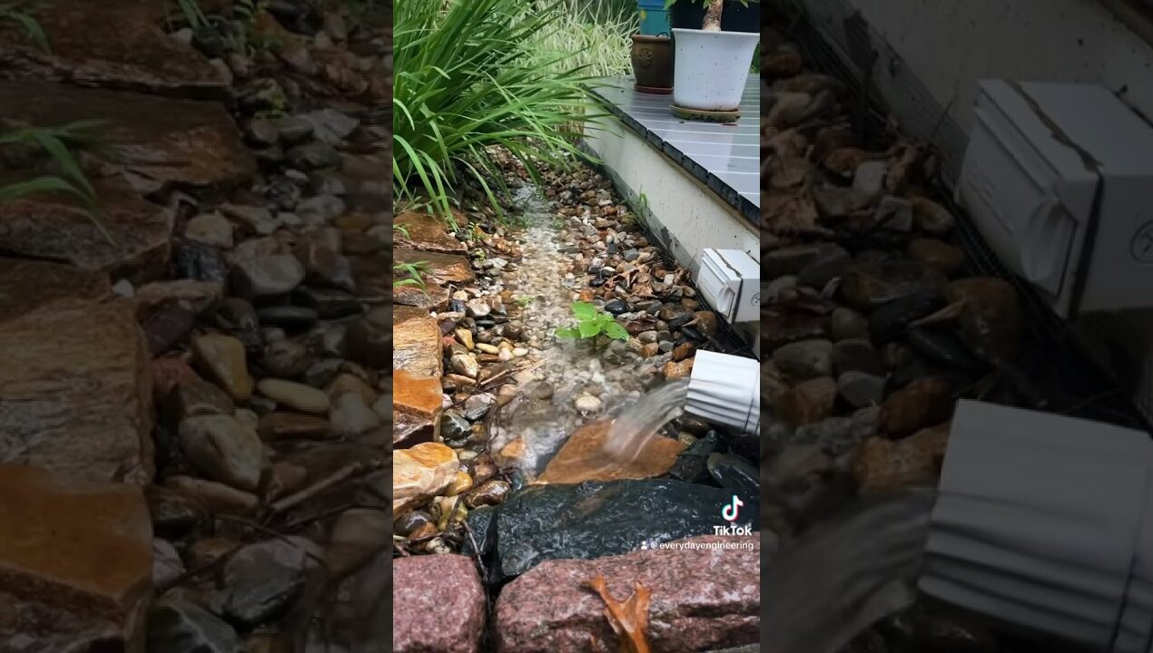 Backyard Rain Garden