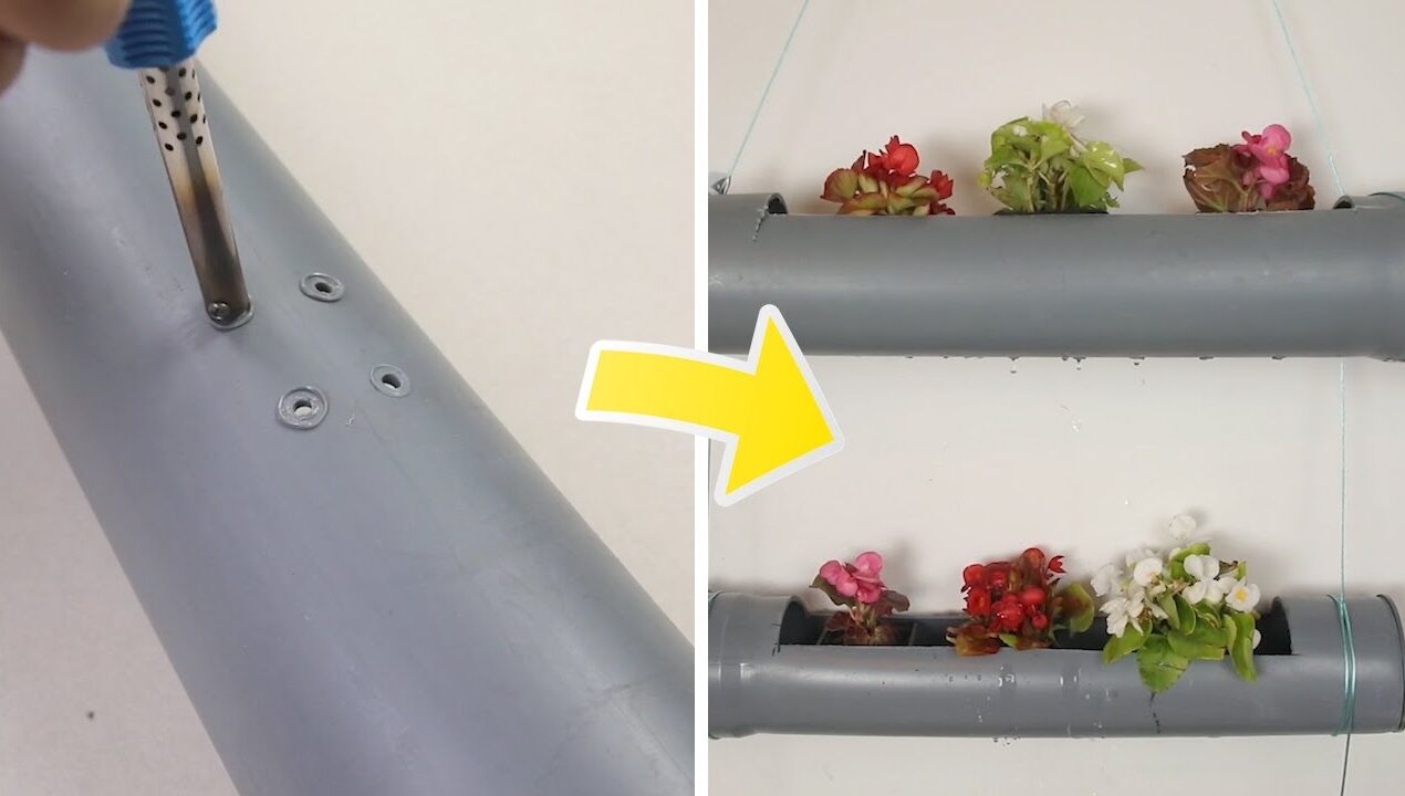 PVC Pipe Planter For a Decorative Garden #shorts