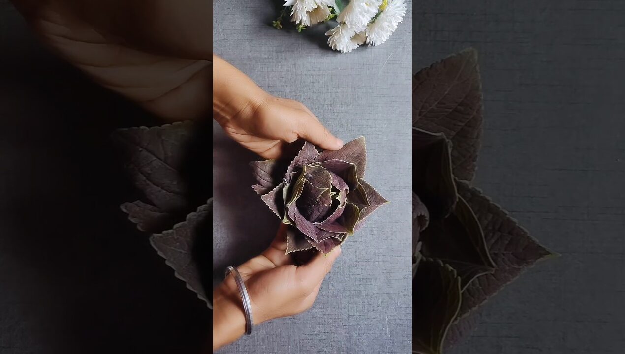DIY Cute Rose From Coleus Leaves/ Easy And Beautiful Craft Ideas #short #diy #craft #viral #trending
