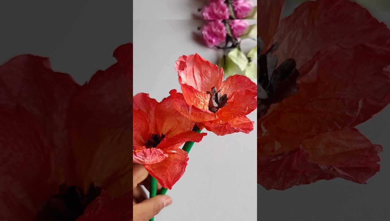 tissue paper flower 💐|| paper craft #viral #diy #art #shorts #reels #beautiful