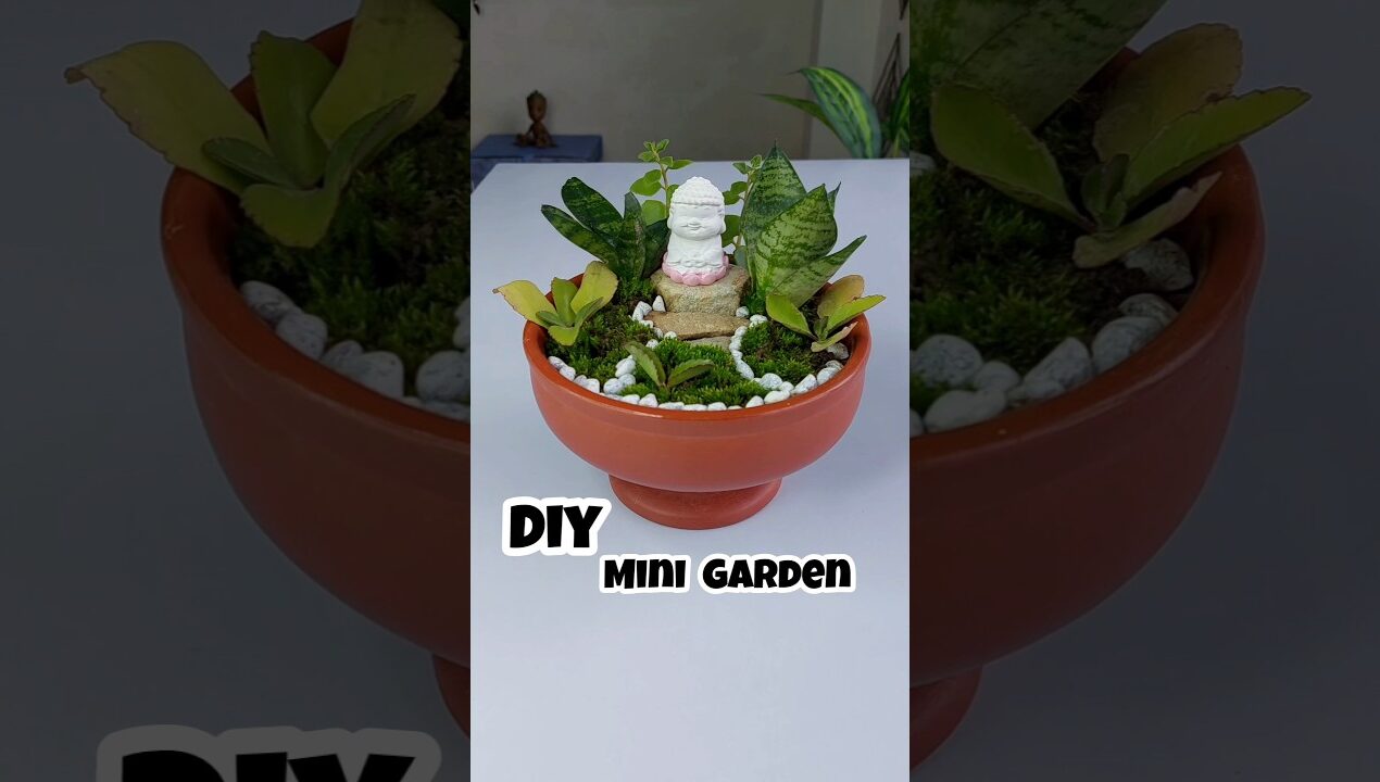DIY Mini Buddha Garden #diy #craft #plants #buddha