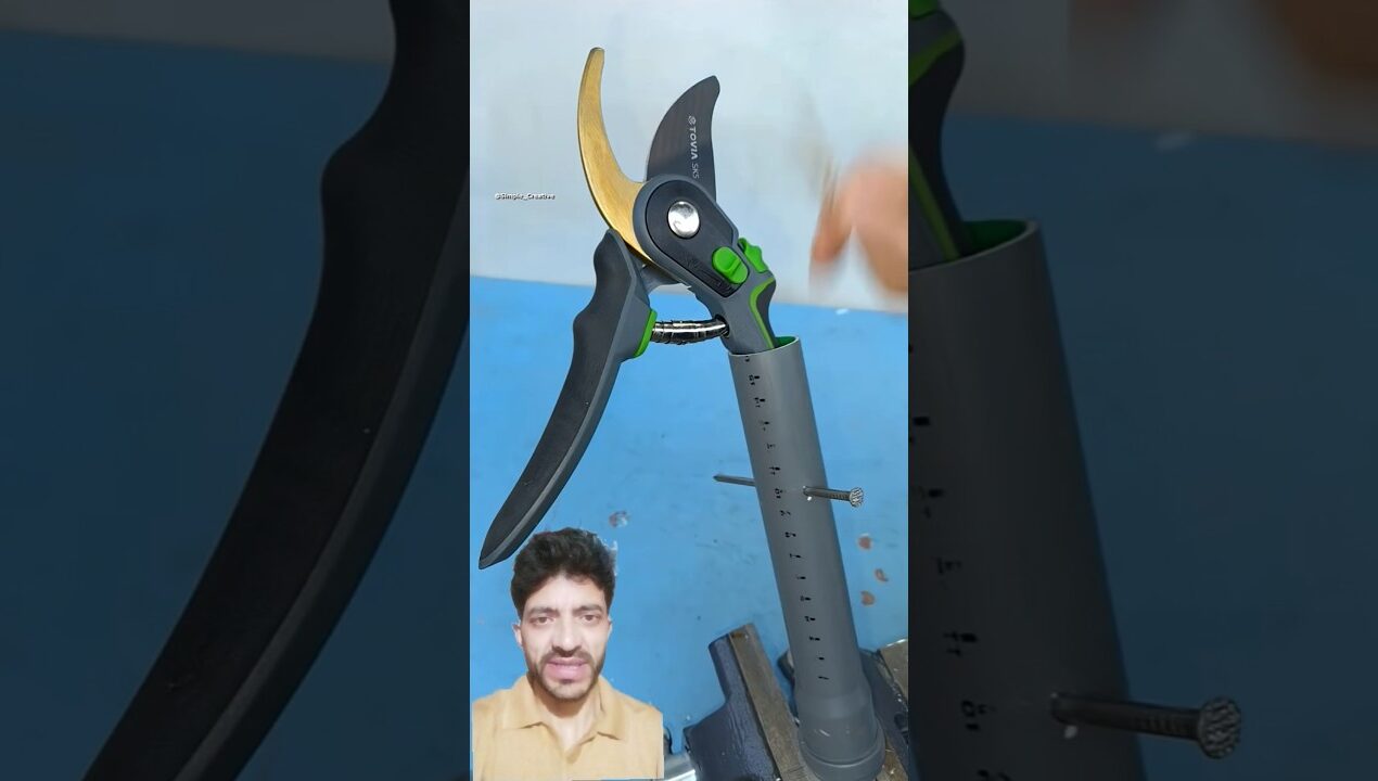 DIY Garden Idea Jo Har💡! #shorts #diy #tips