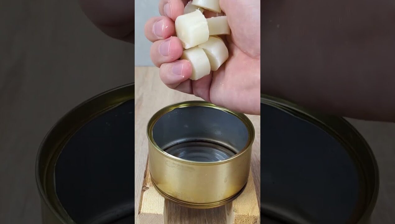 The wise forester shared a trick! #diy