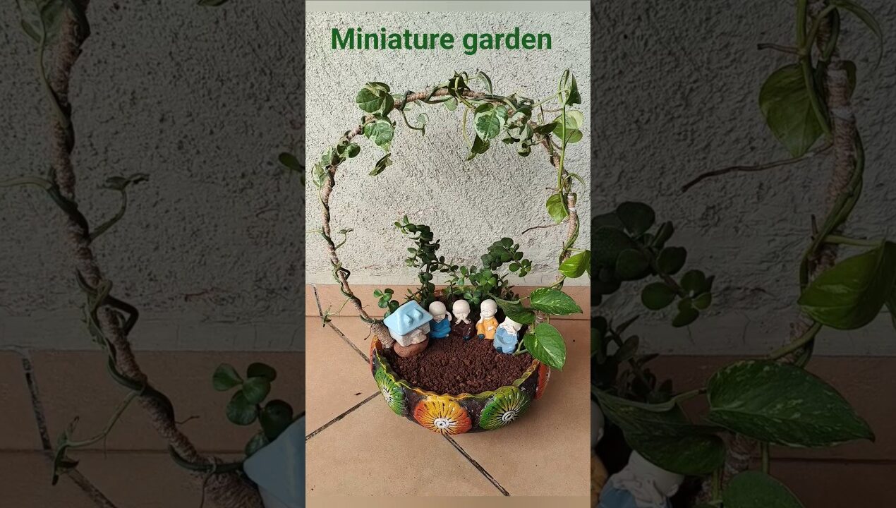 Diy miniature garden ideas#garden decor#trendingshorts#viralshort#trendingshorts#youtubeshorts