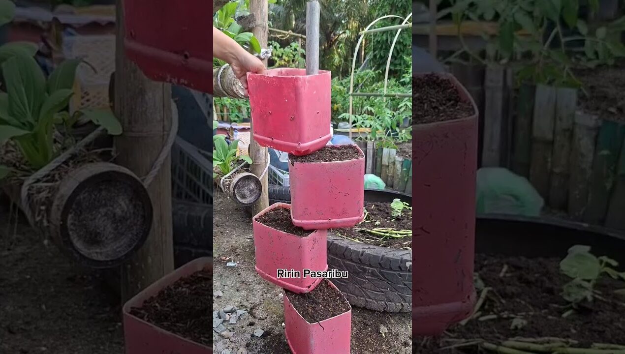 Vertikal garden.Solusi berkebun dilahan terbatas #ideas #gardening #shorts