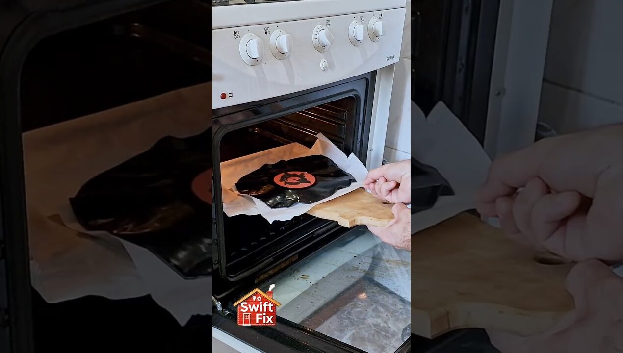 How to Make a Flower Planter From an Old Vinyl Record 🪴💿 #diy #howto