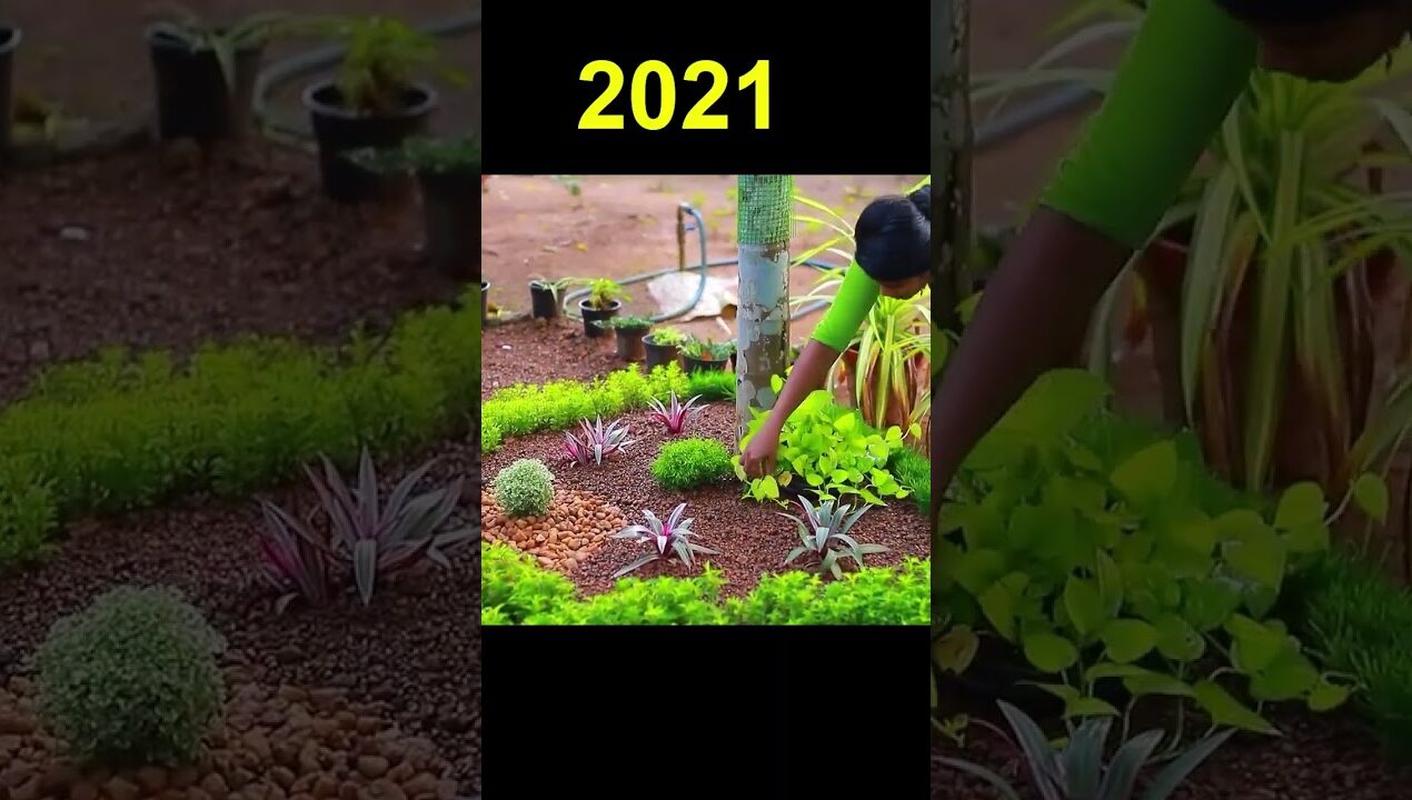 PONSY GARDEN TRANSFORMATION  🌳🌻🌸