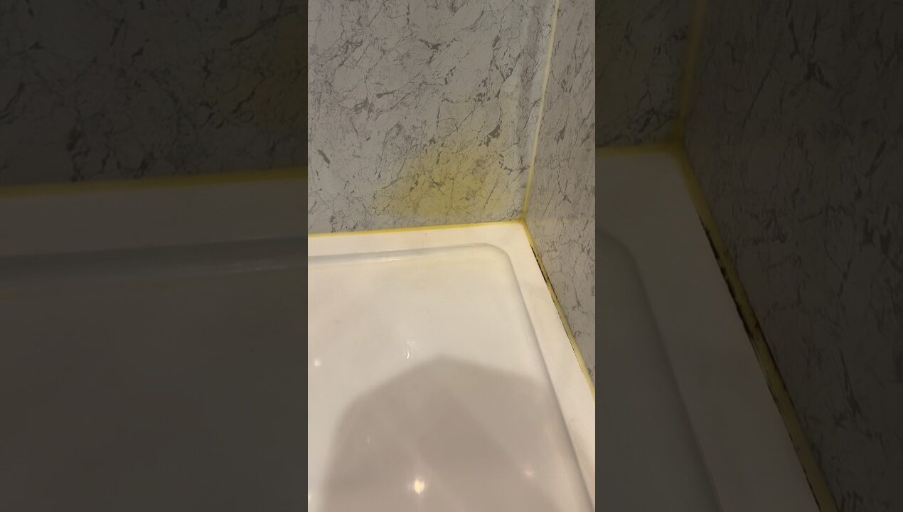 Silicone… #plumber #plumbing #diy #silicone #youtubeshorts #fyp