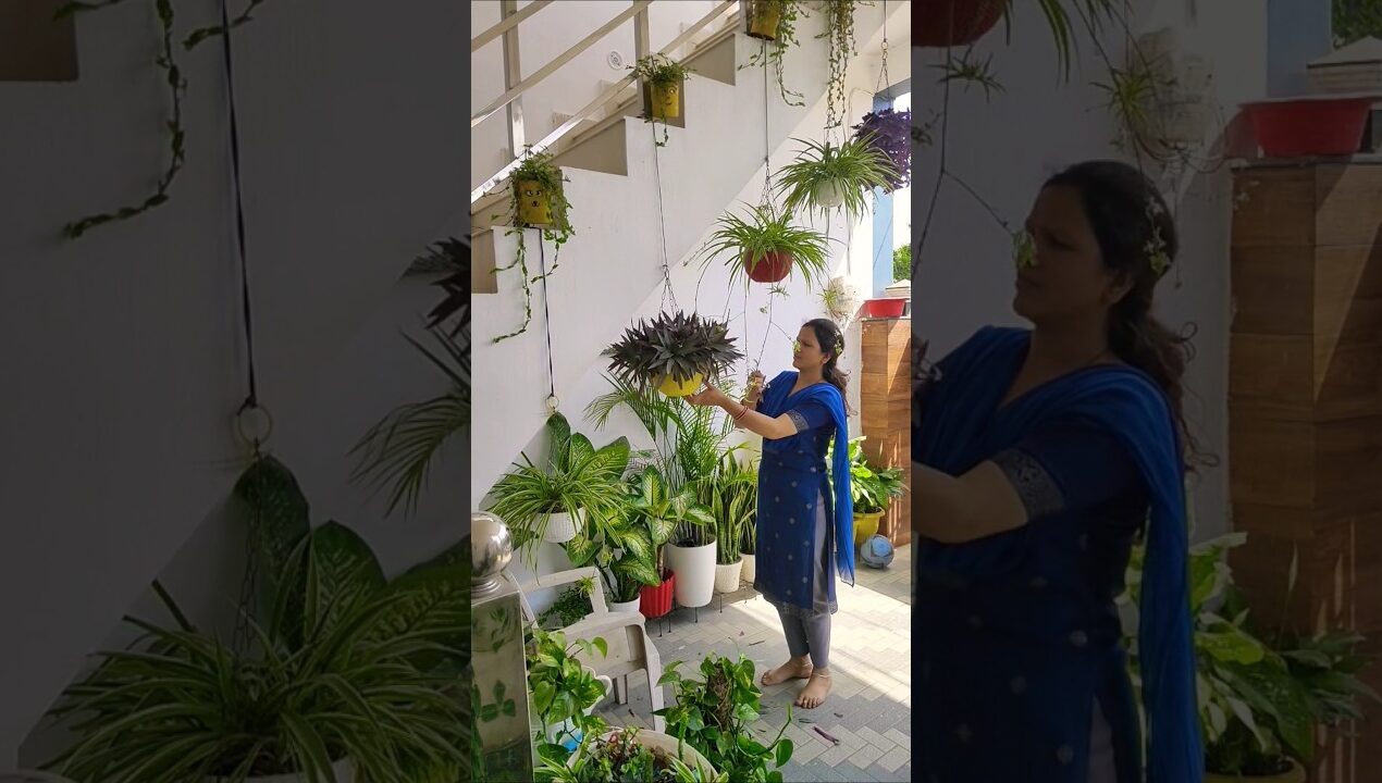 home entrance plants decoration ideas#garden #diy#gardenplants #gardening #flowers #ytshorts