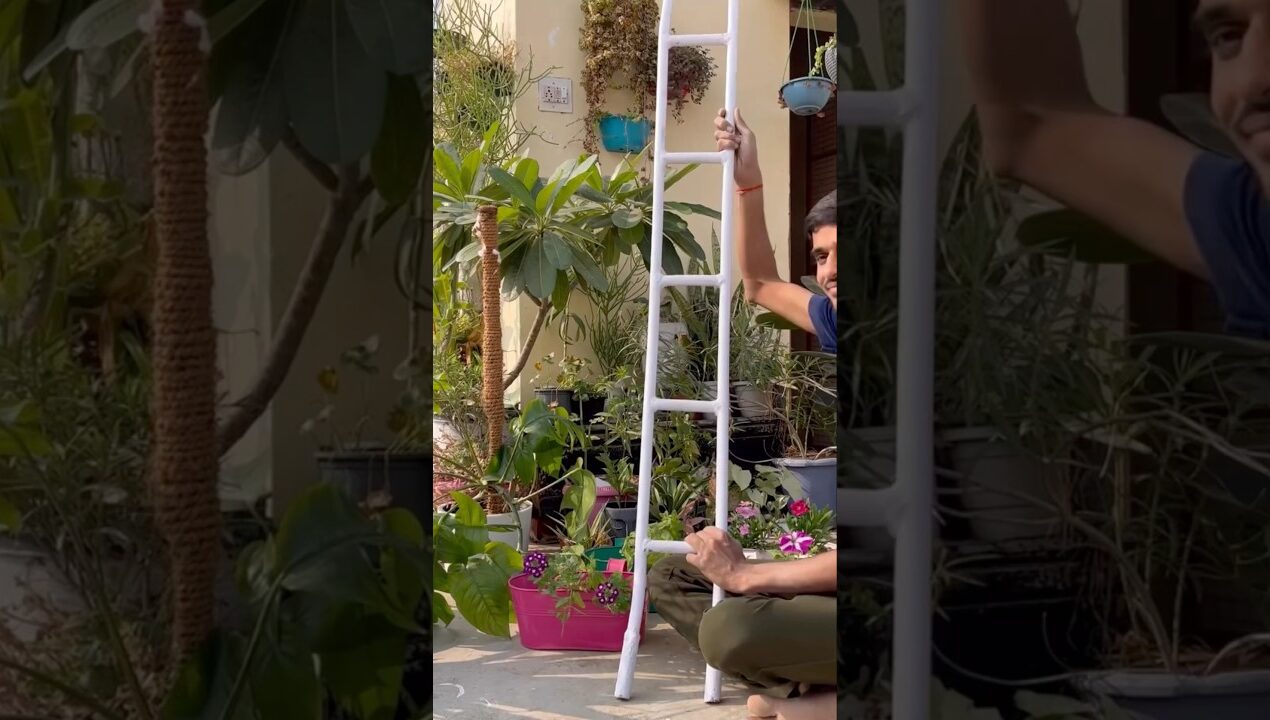 Diy Garden Decor Ideas 💡 #diy #youtube #gardening