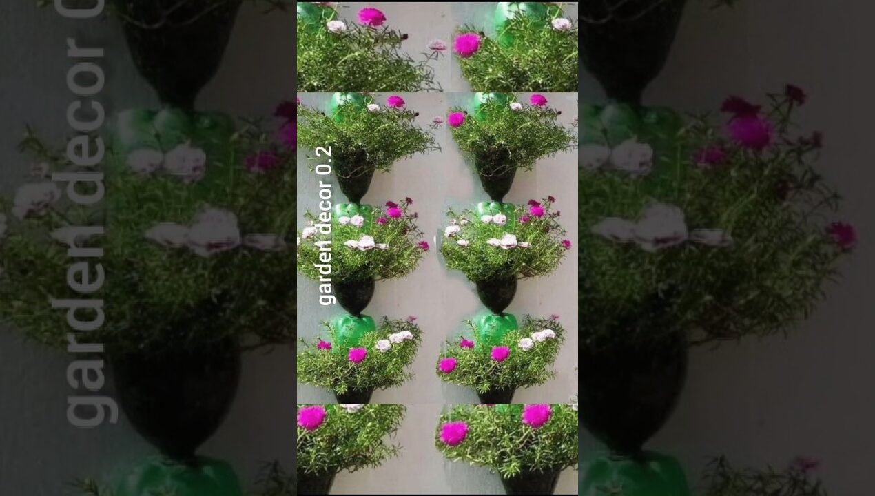 Modern Garden Decoration Ideas 🌼🌱#gardening​ #asmr​ #plants​ #flowers​ #trending​ #home​ #garden​