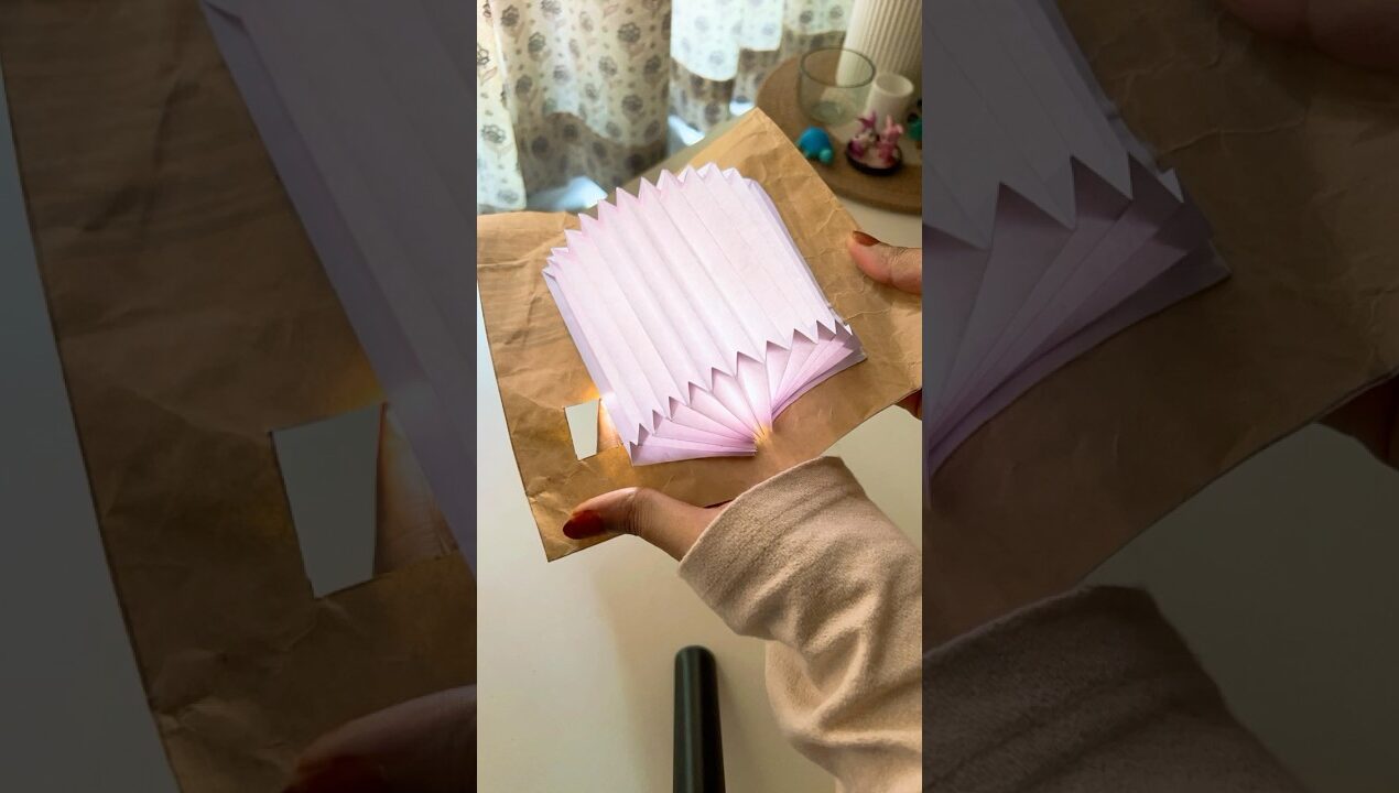 😍പരീക്ഷണം success ആയോ?🔥എനിക്ക് ഇഷ്ടപ്പെട്ടു🫶🏻 #shorts #craft #diy