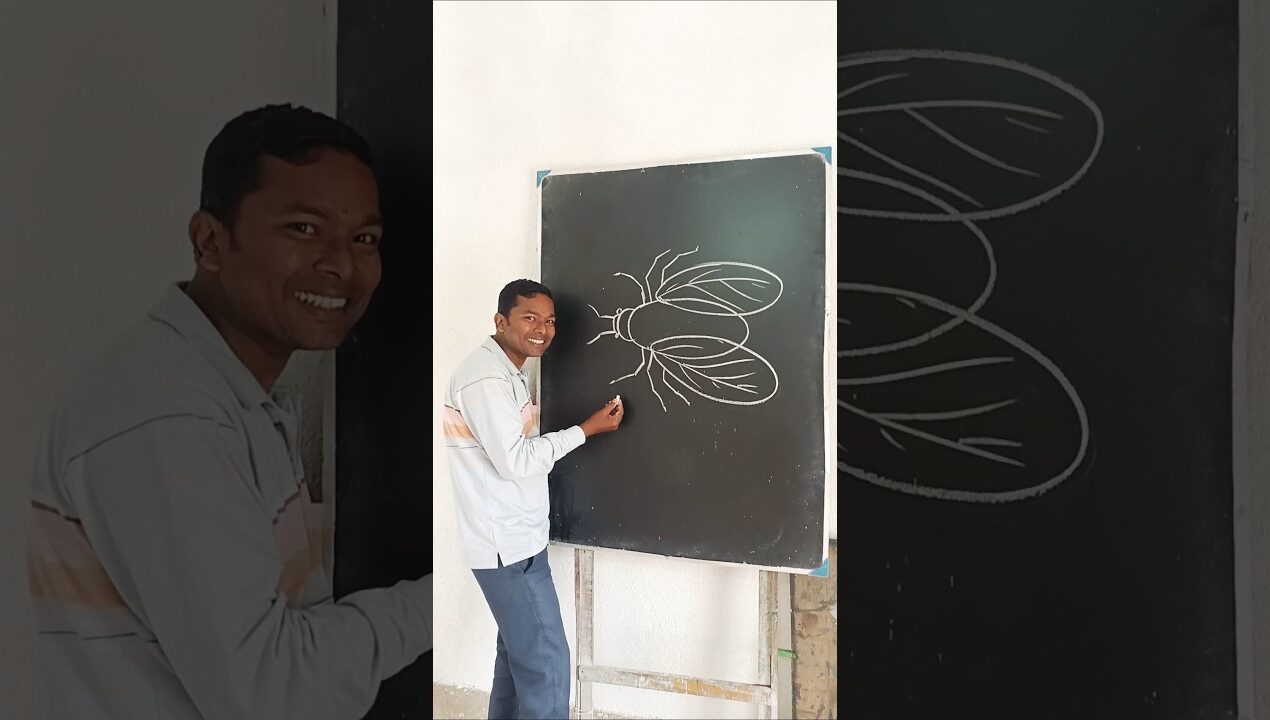 Fly Drawing for Kids #art #drawings #viral #tutorial #diy #howto #youtube
