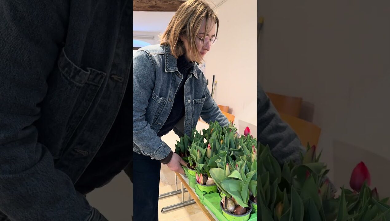 Osternester – Workshop 💐🫶🏼🌸 #floristik #flowers #flowerdesign