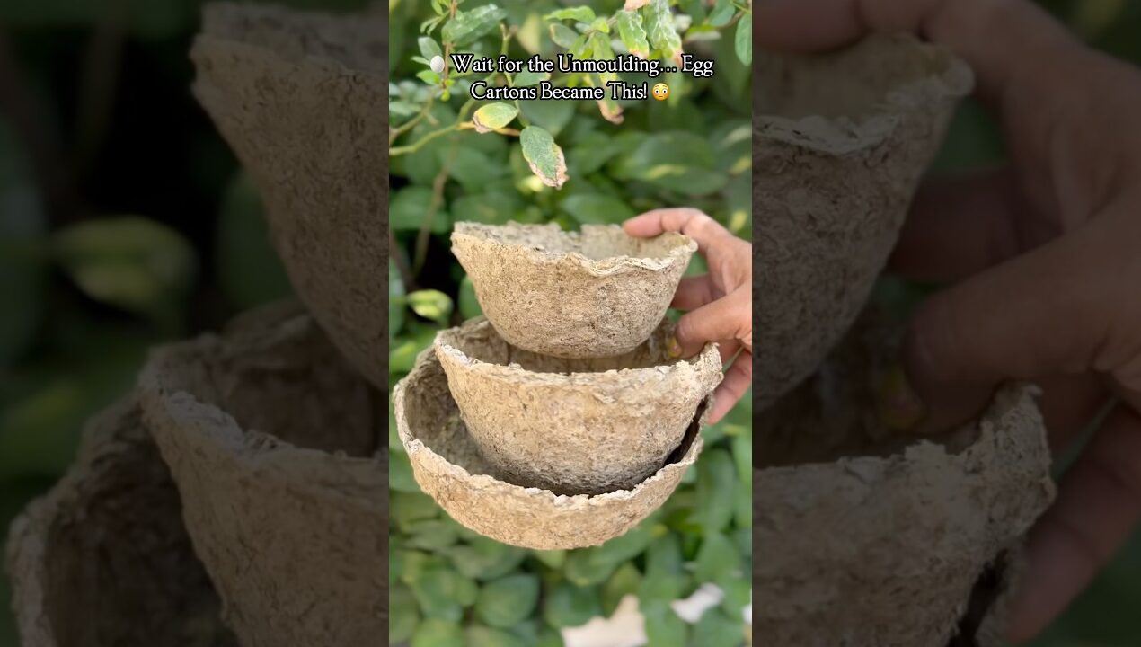 😯 Finally Unmoulded the Egg Carton Bowls… They’re So Strong! 🥚