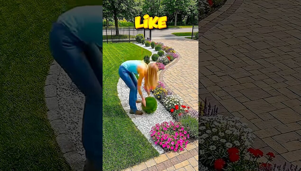 IMAGINA que tu MAMÁ VA a CONSTRUIR un NUEVO JARDÍN en tu CASA, Cuál ELIGES como el PRIMERO? 🪴😍