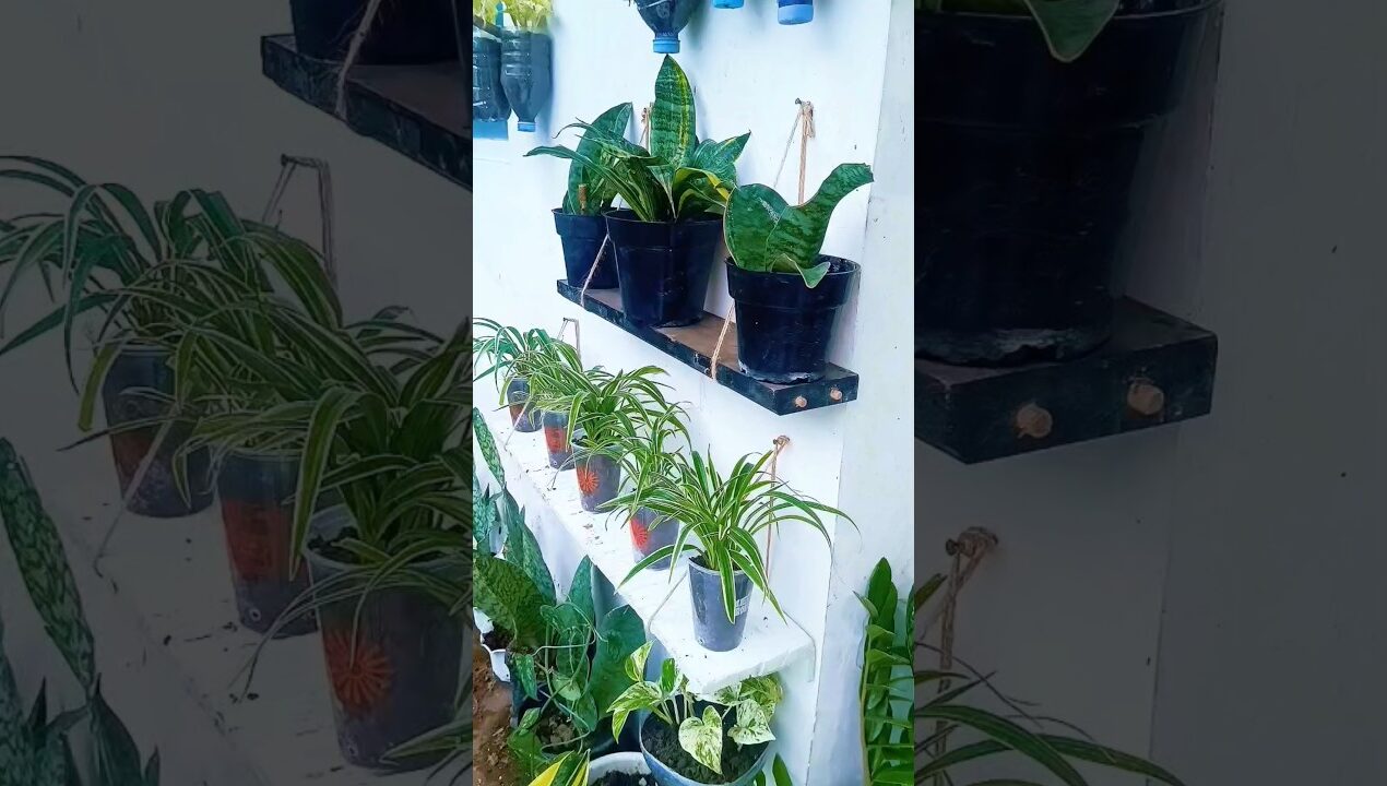 ide kreatif!! sangat mudah membuat tatakan bunga👌🌱🌱