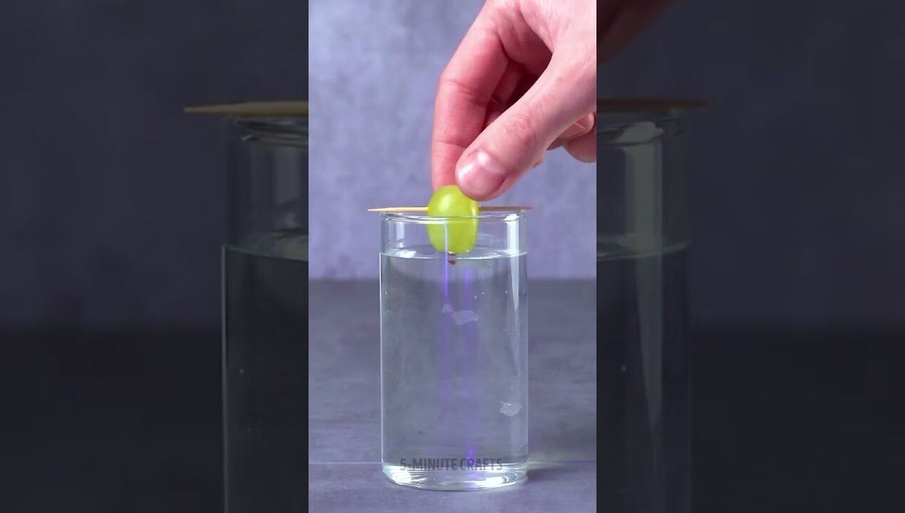 Stop Killing Your Plants… Try These Genius Hacks ✨