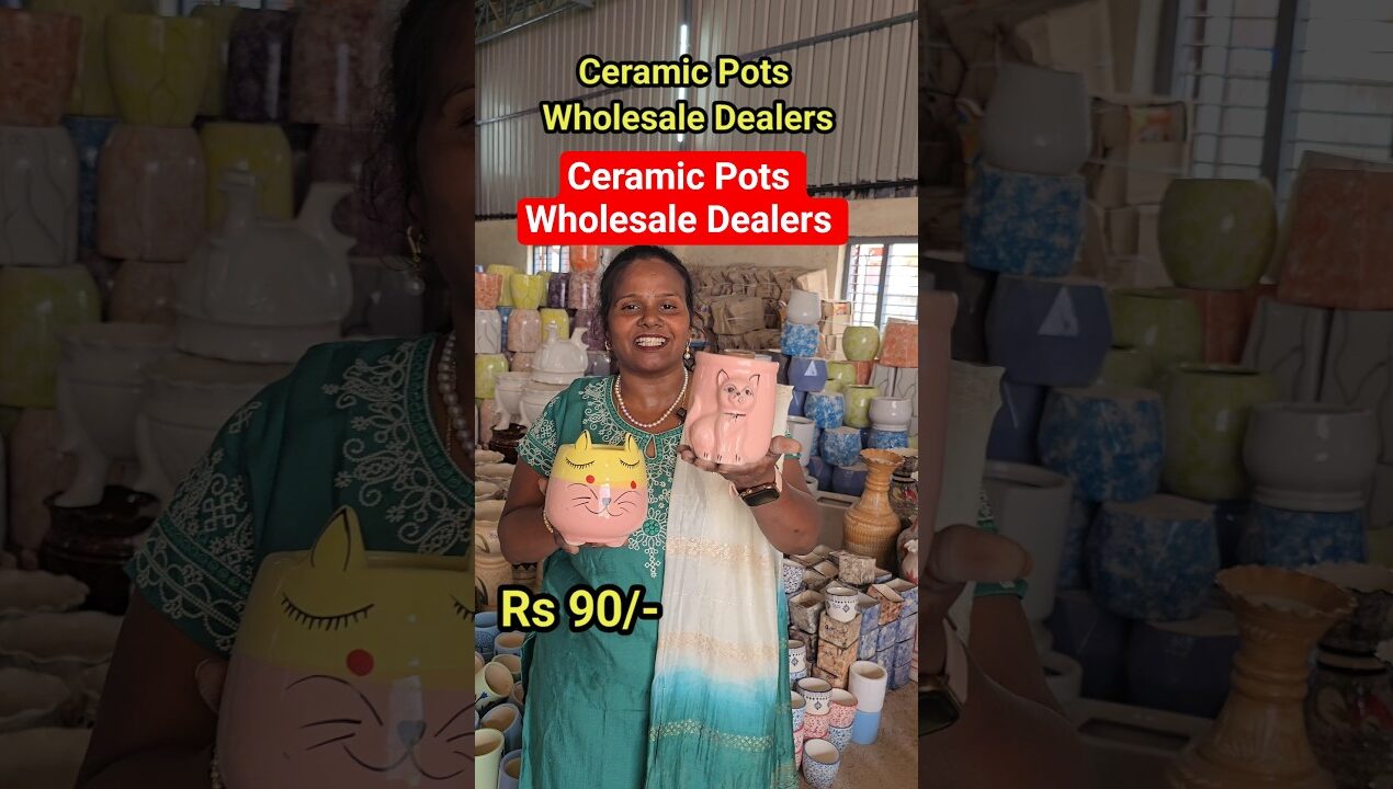 ceramic pots for plants #ceramic #pots #indoor #outdoor #planter  #ytshorts #shorts