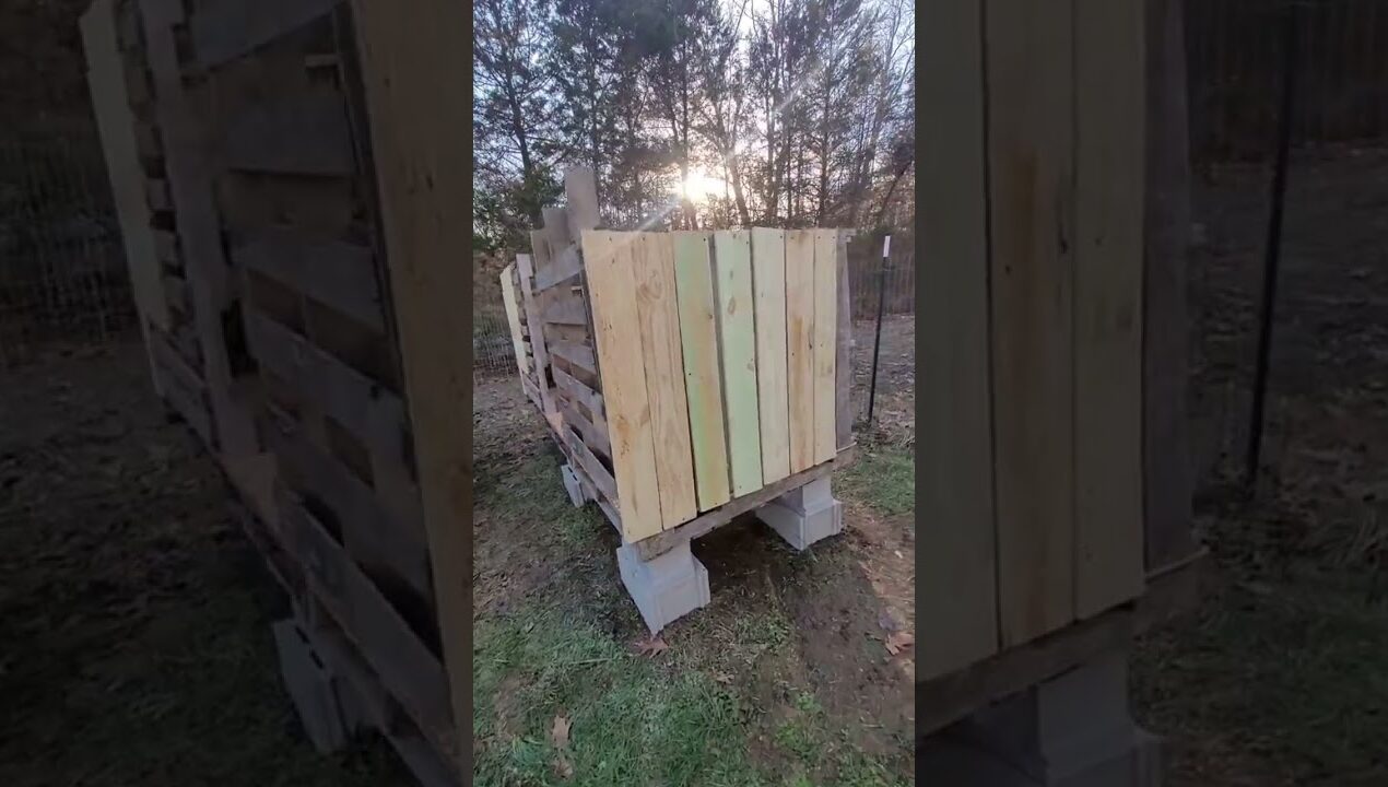 DIY pallet chicken coop
