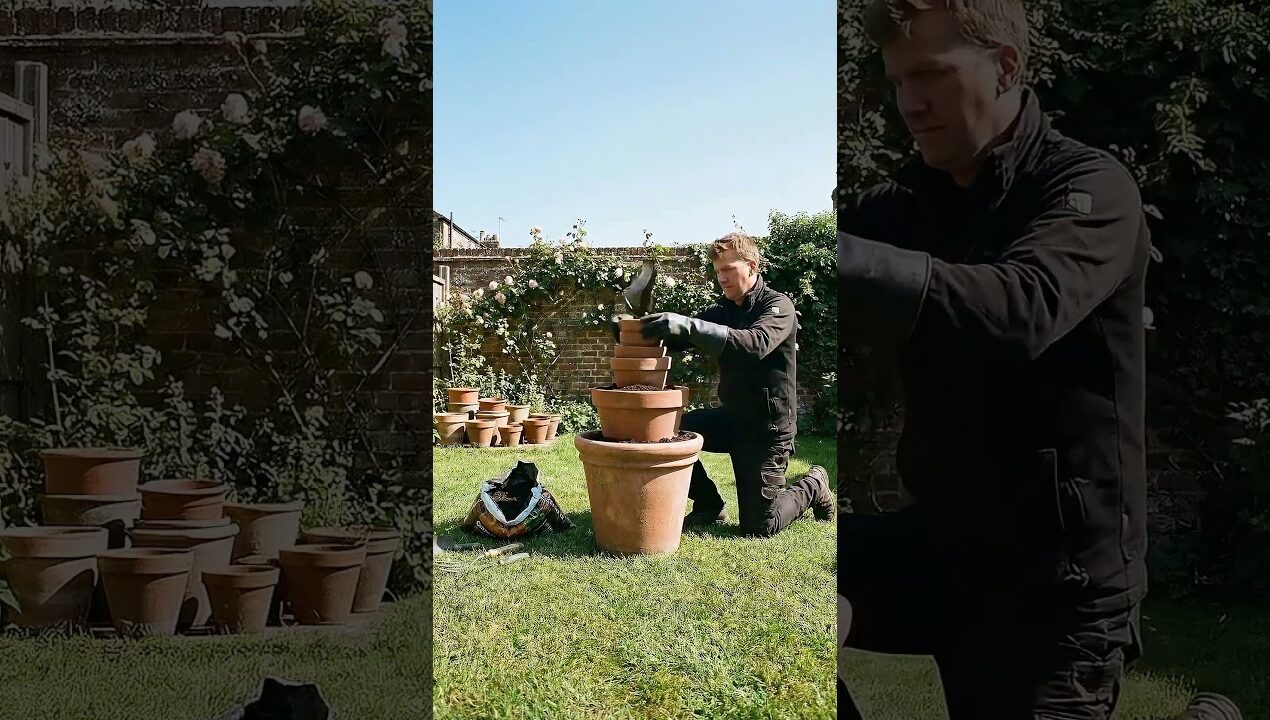 Amazing DIY Strawberry Tower Using Simple Garden Pots.