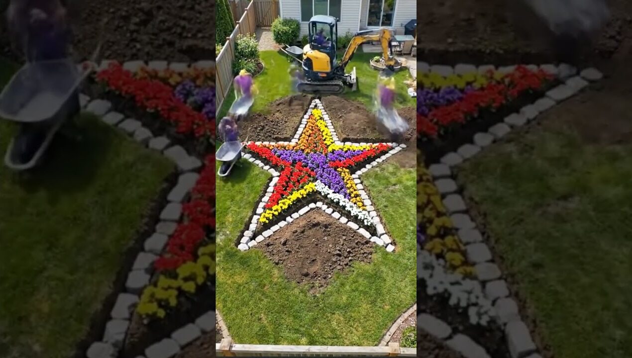 Epic Star-Shaped Garden | Backyard Landscaping Idea #gardeninspo #diy #transformation