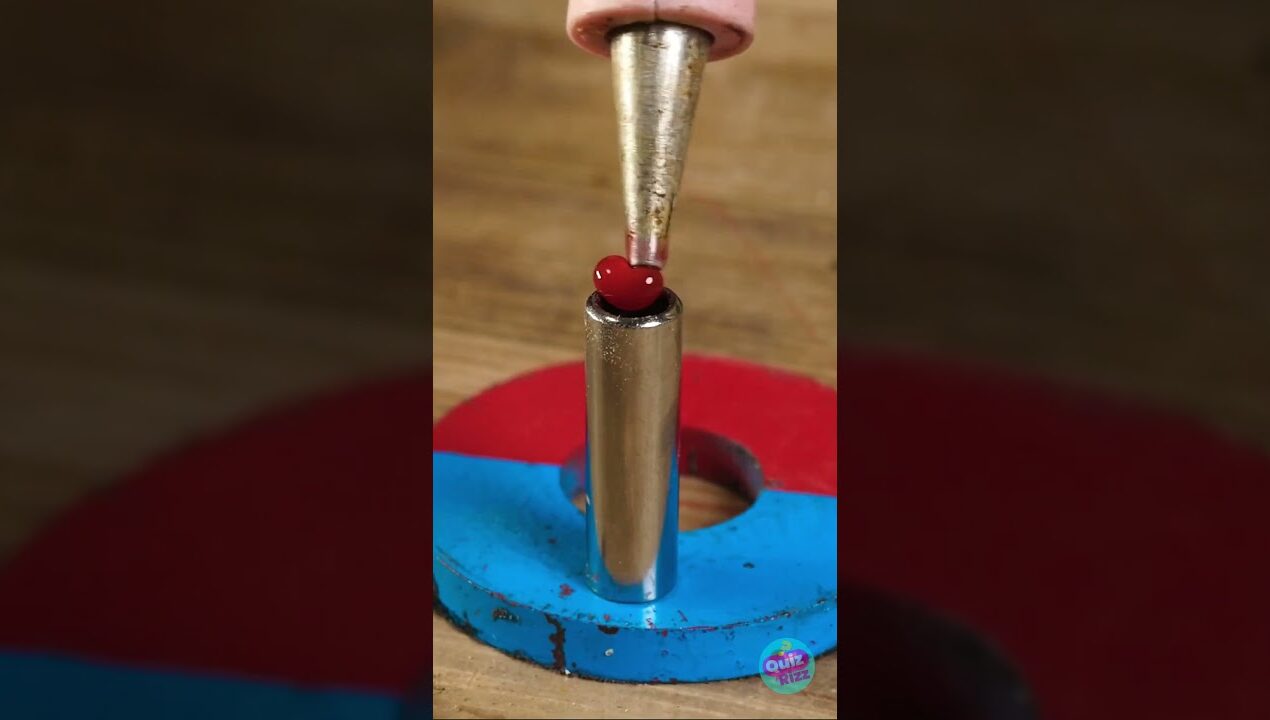 Screwdriver Hacks Unleashed: DIY Magic Tool Tricks 🪄 #shorts