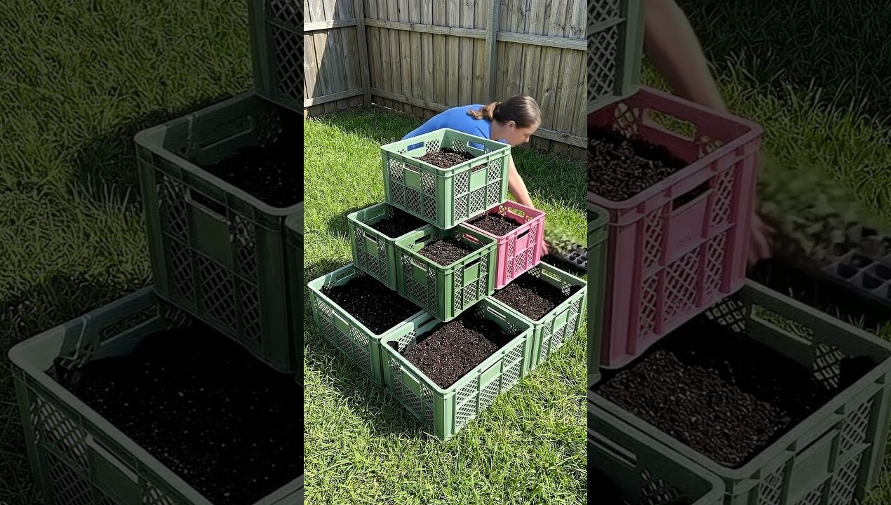 DIY Milk Crate Flower Tower: Easy Vertical Garden Hack! 🌸🪴