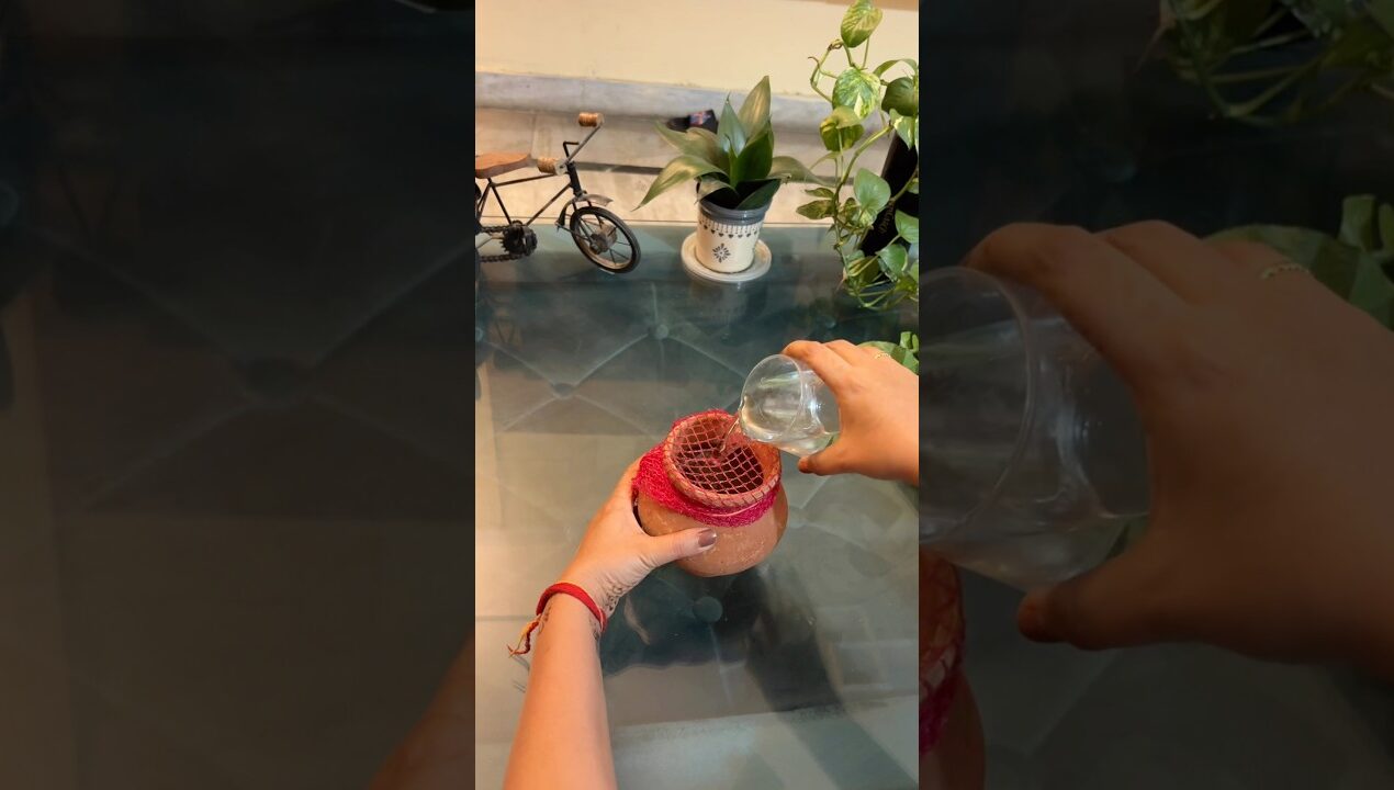 Fruit Bag से Plant Decor 😲🌿  Recycling Idea | Syngonium Plant Decoration #shorts #ytshorts