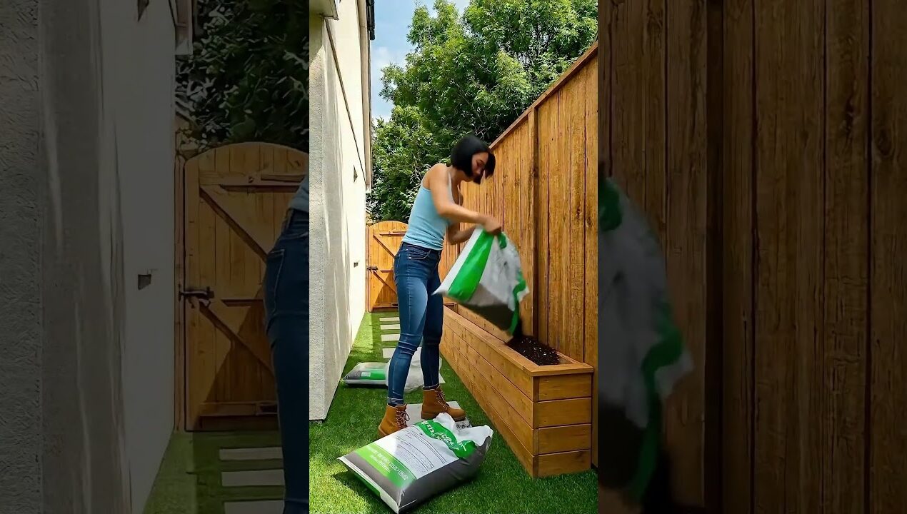 Ugly overgrown side yard ➡️stunning vertical garden wall with colorful shelves and planters! 🌸