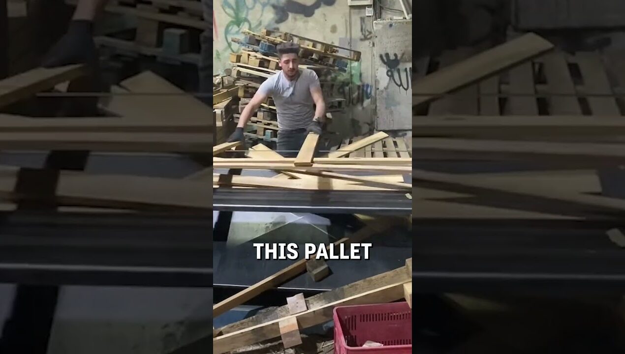 CEO of dismantling wooden pallets! 🫡👏   –  🎥 diaa_gahnem