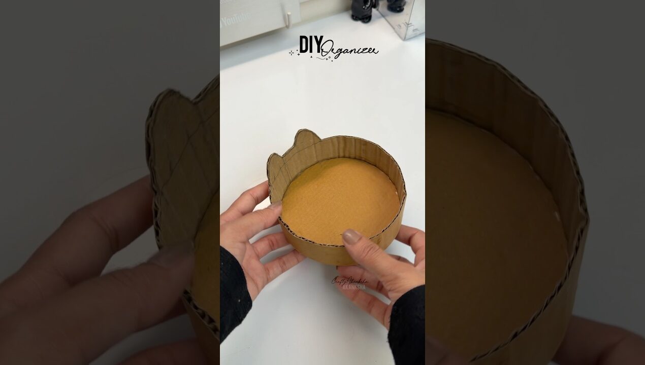 DIY Organizer From Waste #diy #shorts