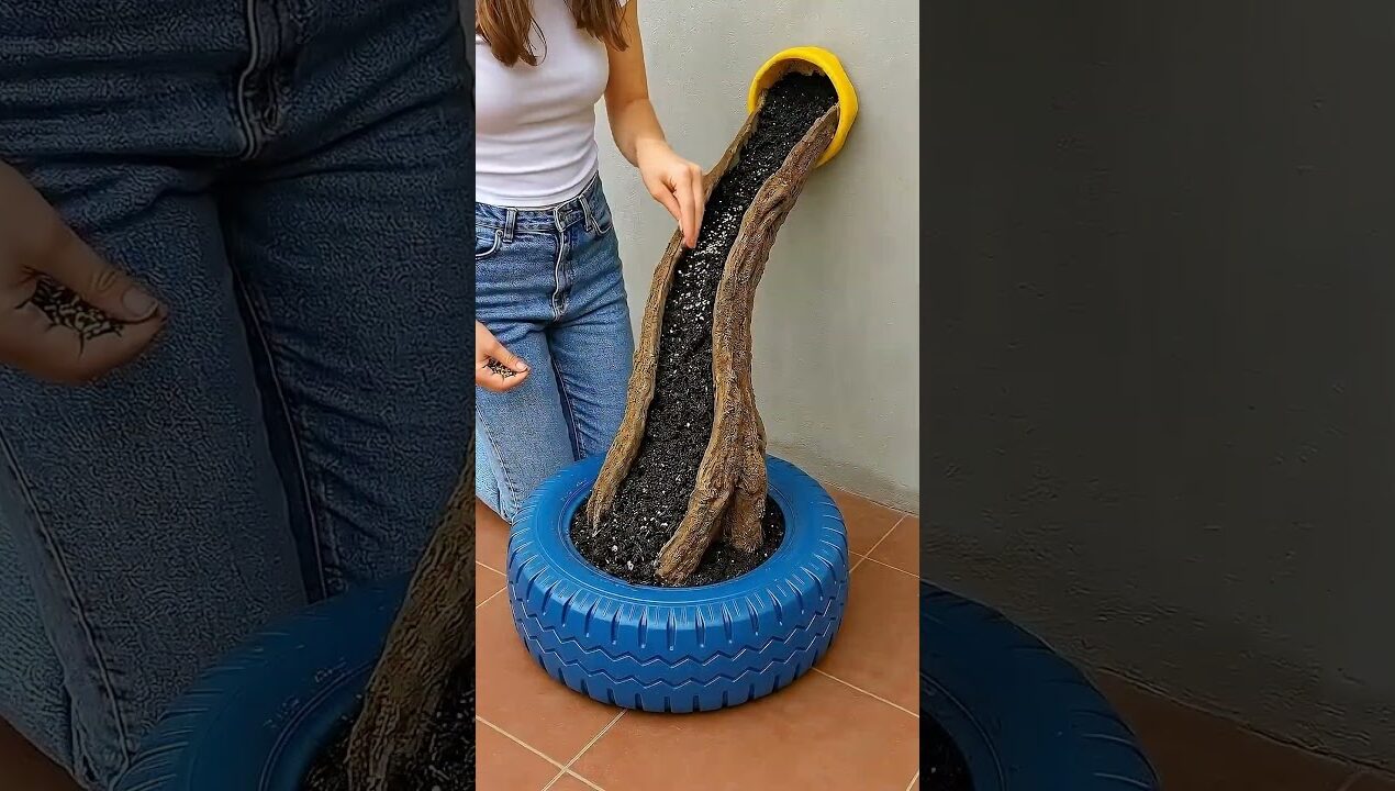 Would You Try This $300 Backyard DIY? 😳🏡 (USA Garden Makeover)