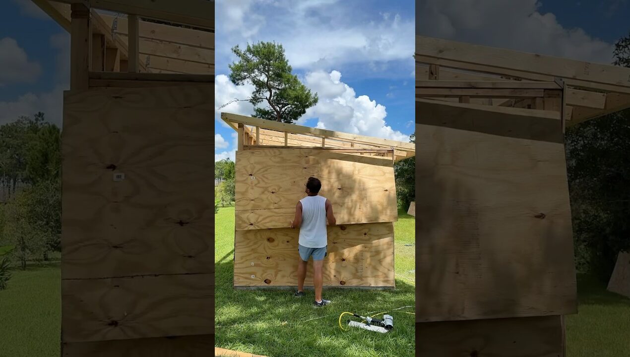 It was a shaky start! #diy #shed