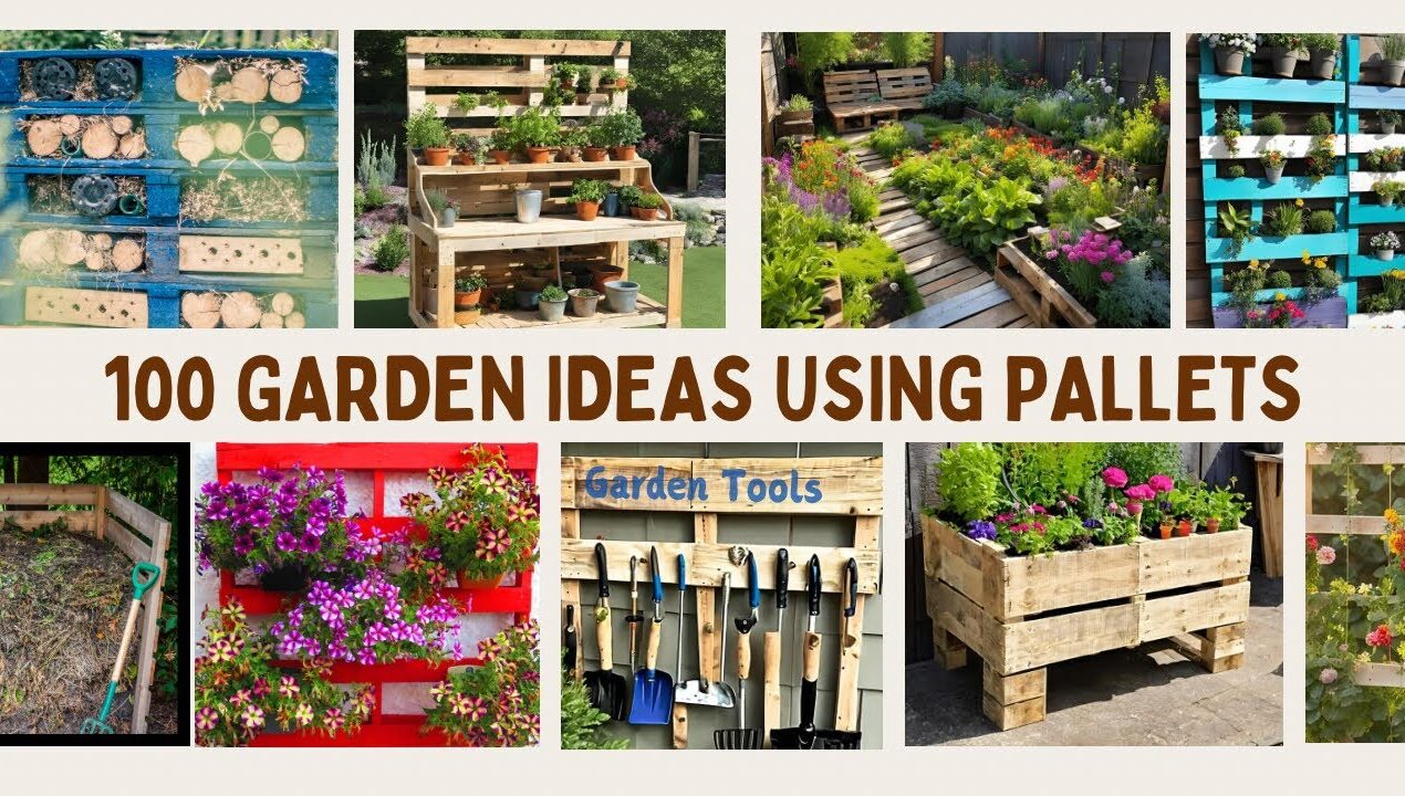 Garden Ideas With Pallets- Pallet garden projects