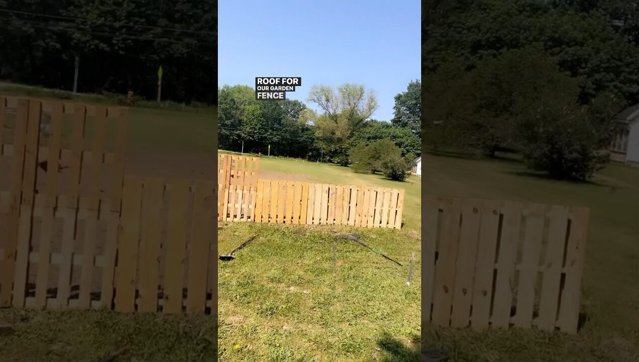 Free DIY pallet fence for garden #upcycle