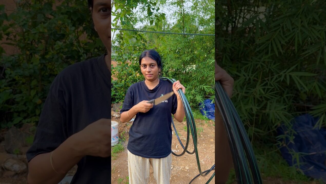 യാത്ര പോകുമ്പോൾ ഞാൻ കണ്ട പരിഹാരം #dripirrigation #dripirrigationsystem #diy