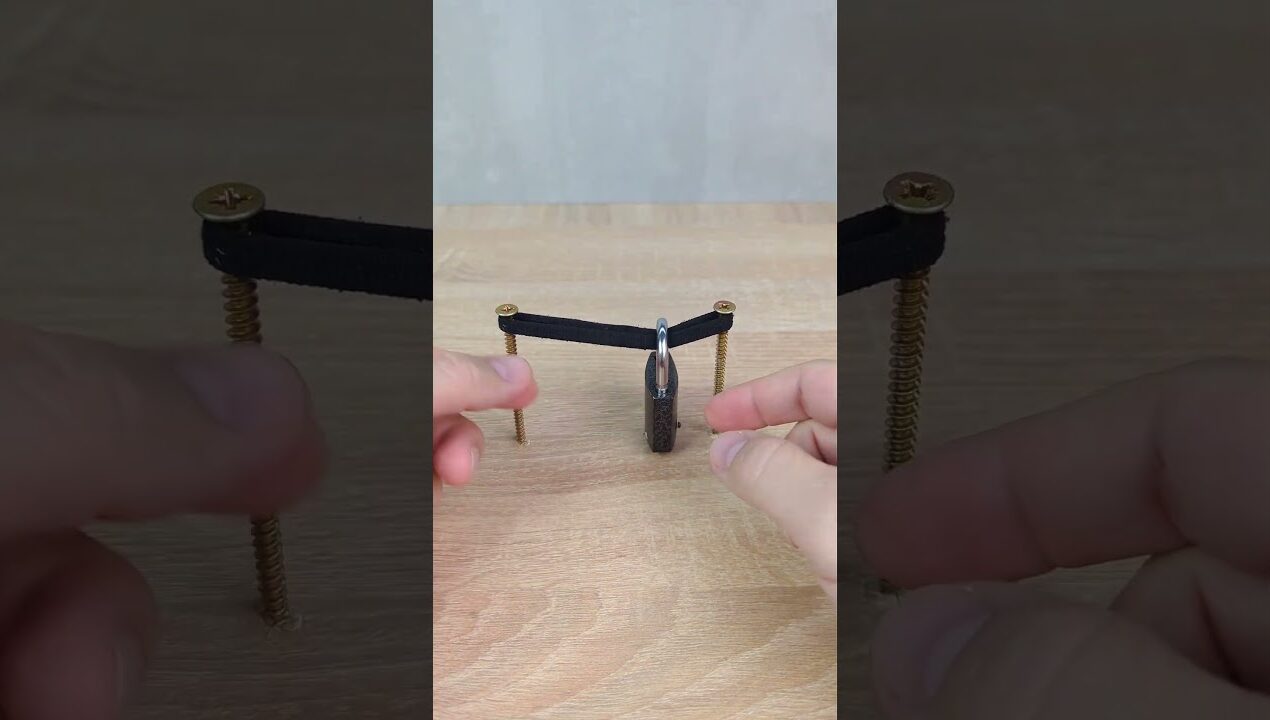 The lock picker shared a trick! #diy