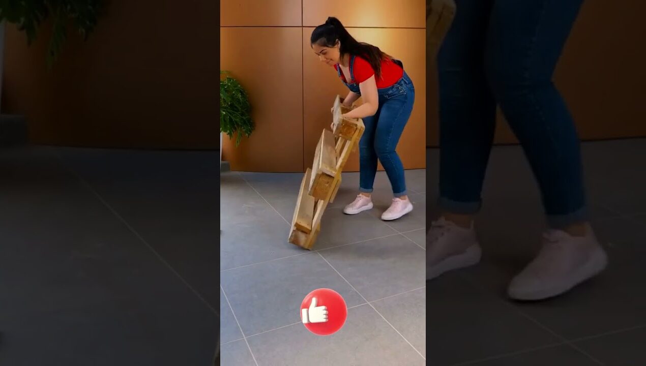 Repisa para plantas con Palets