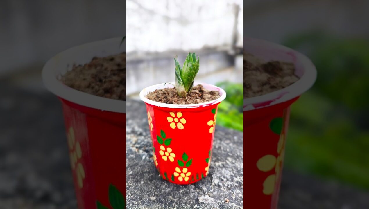 DIY Planter ideas ❤️/Waste material craft idea 🫰🏻. #trending #diy #art #ytshorts #craft #short